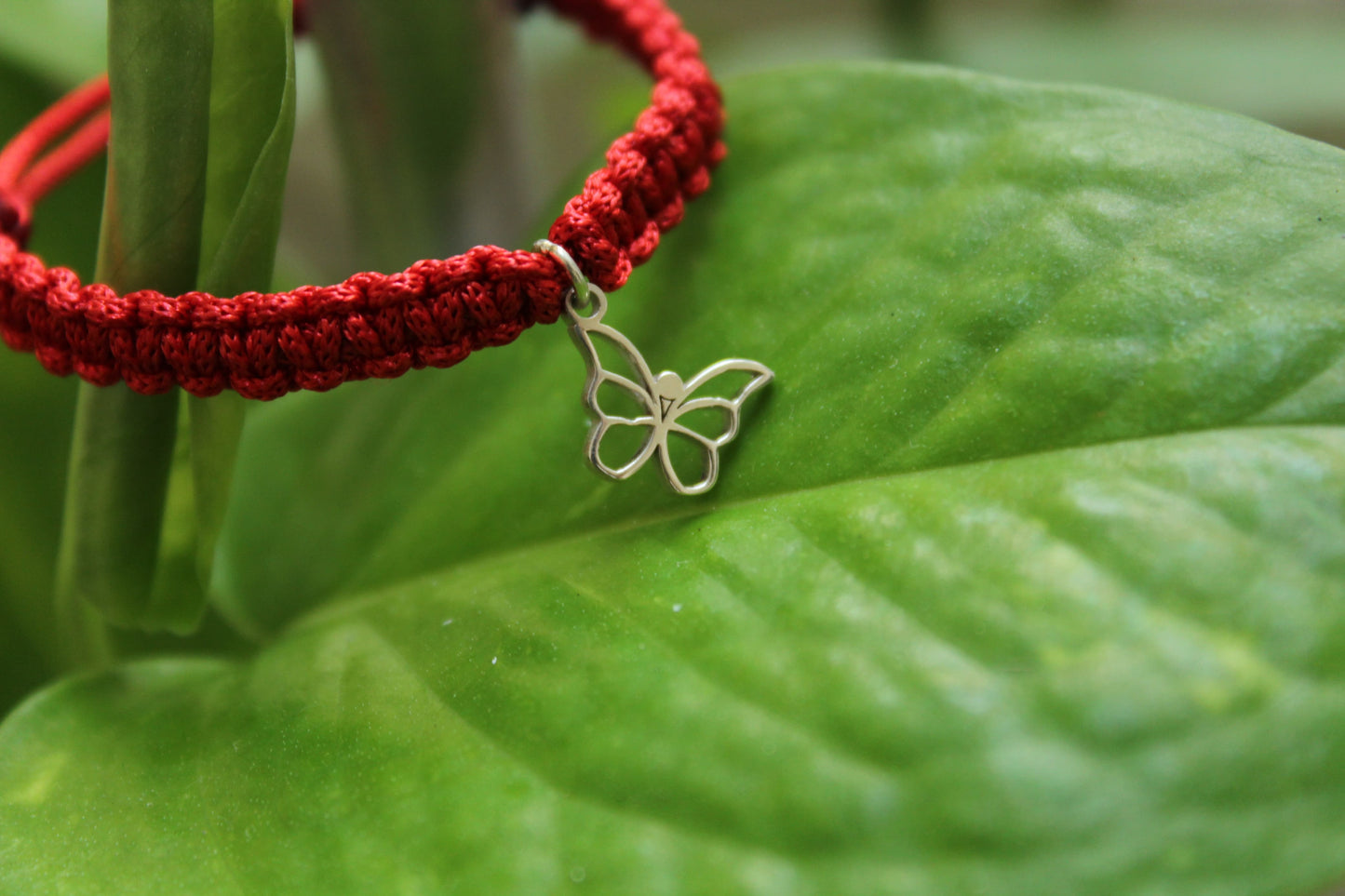 Butterfly Charm Bracelet ( Thread )