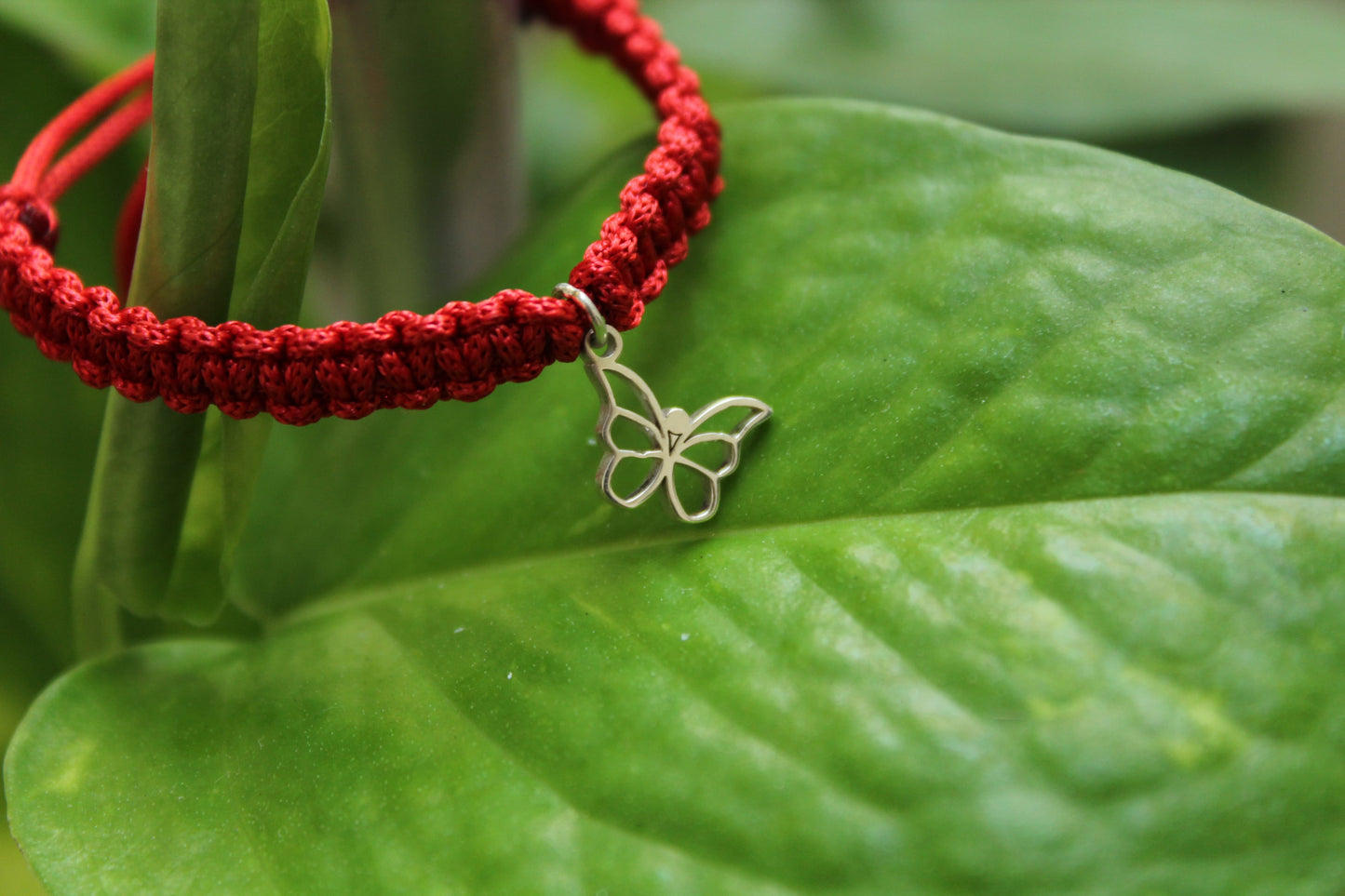 Butterfly Charm Bracelet ( Thread )