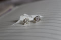 Trishul ear studs